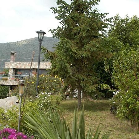 B&B La Vecchia Scuola Sonnino Ngoại thất bức ảnh
