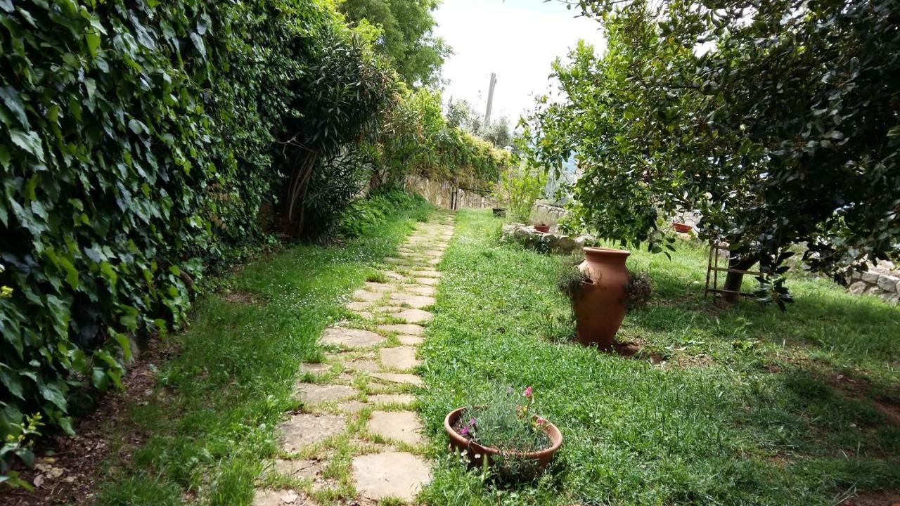 B&B La Vecchia Scuola Sonnino Ngoại thất bức ảnh